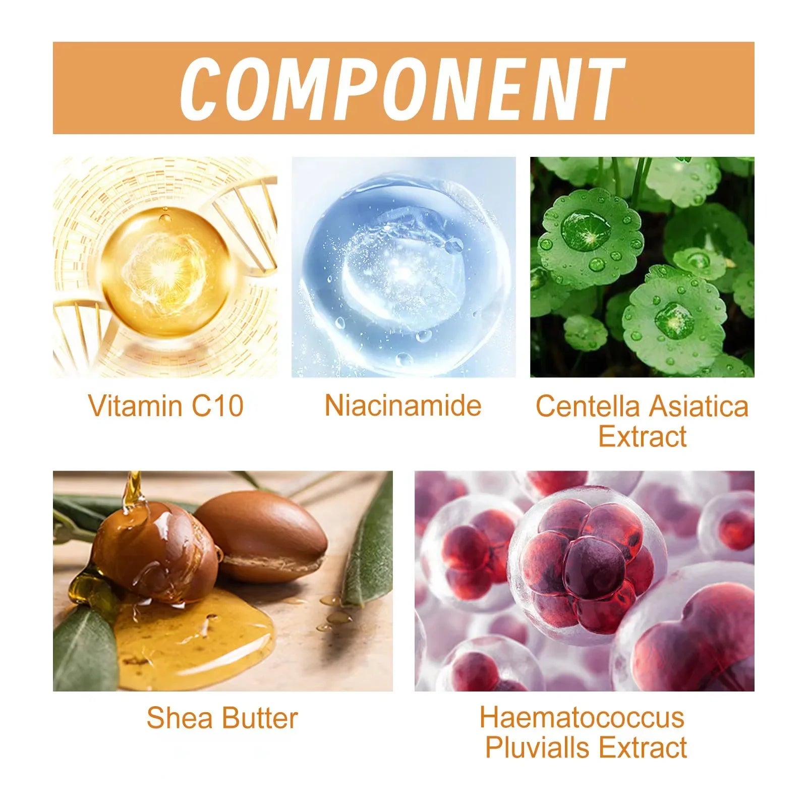 EELHOE Whitening Face Serum Combo – Nourishing Oil-Based Formula