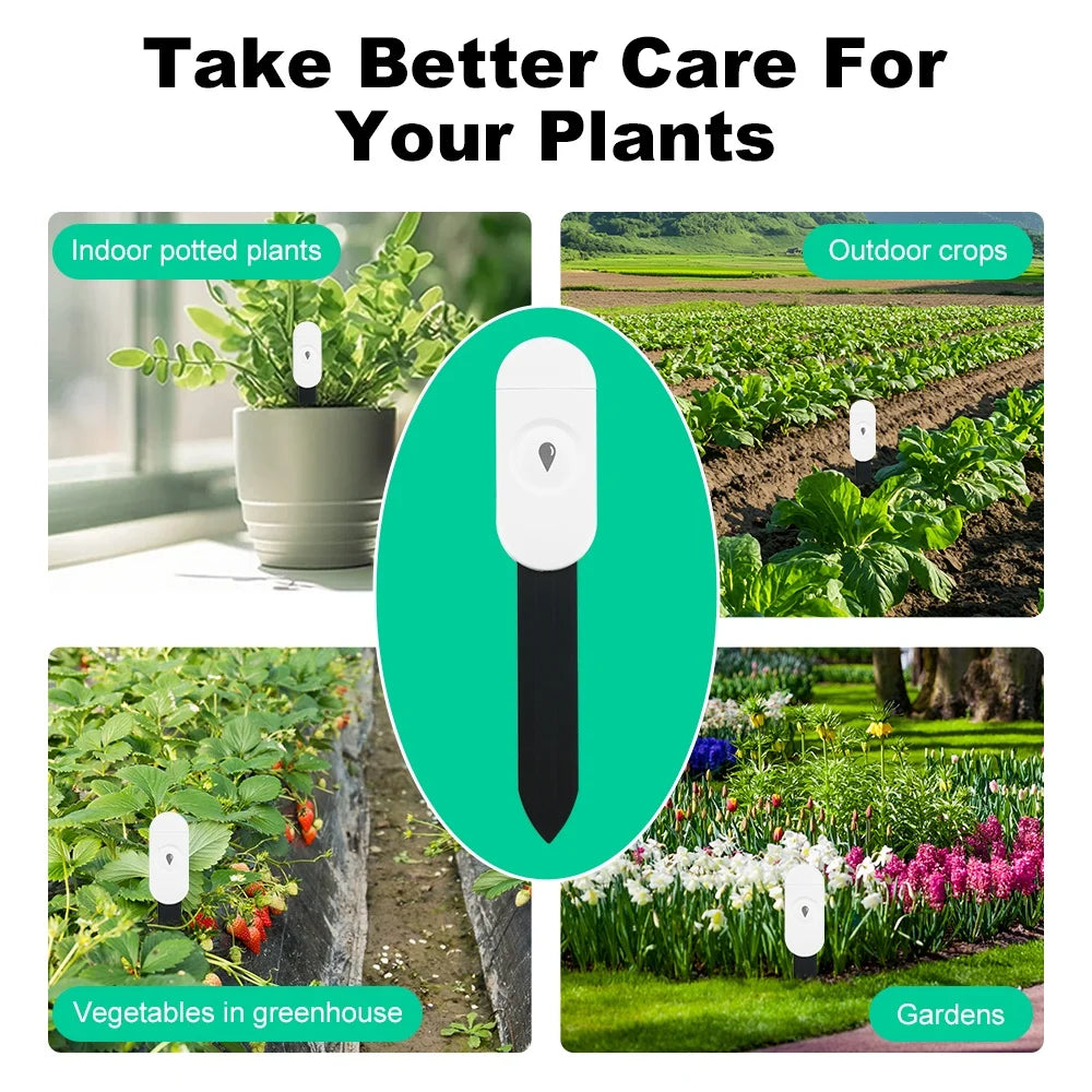 Zigbee Soil Moisture Sensor – Smart Plant Monitor with App & Voice Control